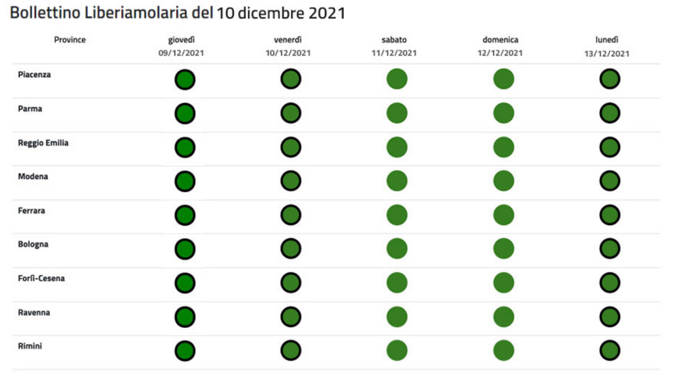 Immagine bollettino 10 dicembre 2021