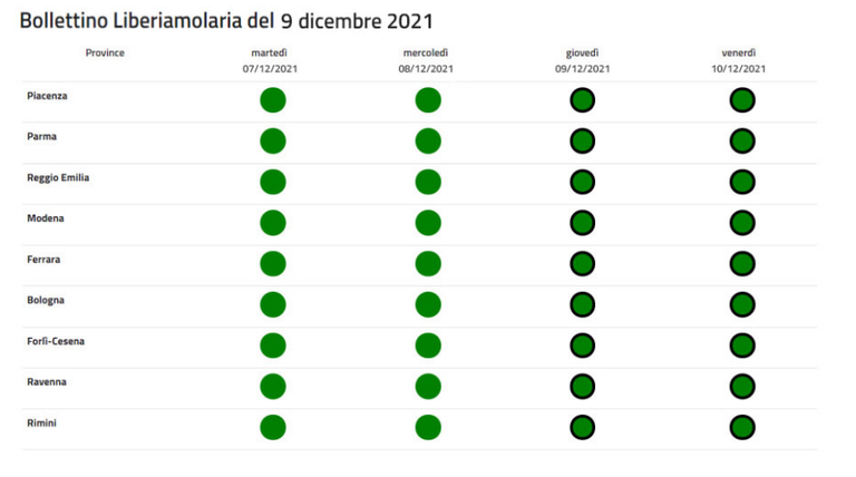 Immagine bollettino 9 dicembre 2021