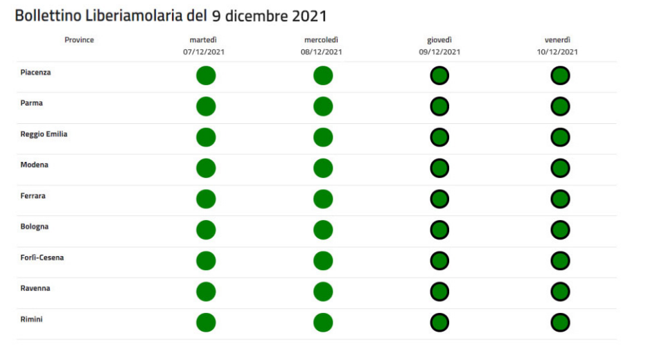 Immagine bollettino 9 dicembre 2021