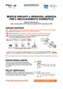 Infografica impianti a biomasse 2020-2021