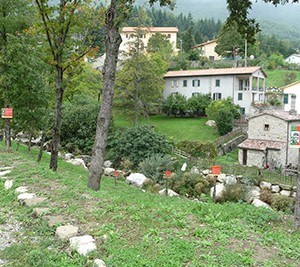 Frutti perduti Alfero_FC_2.jpg