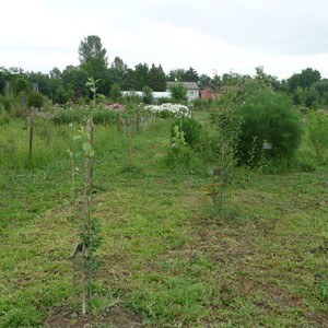 giardino-Pica.jpg