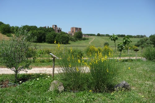 giardino-quintili.jpg