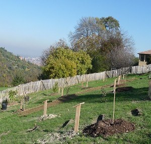 giardino_villaghigi (1).jpg
