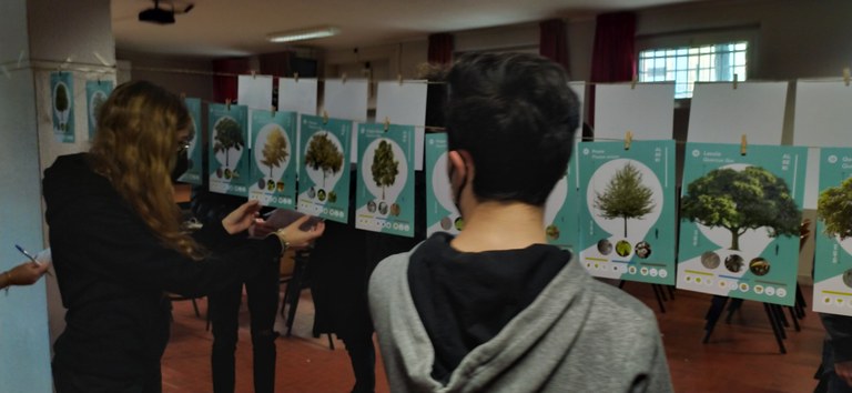 alberi e superalberi.jpg