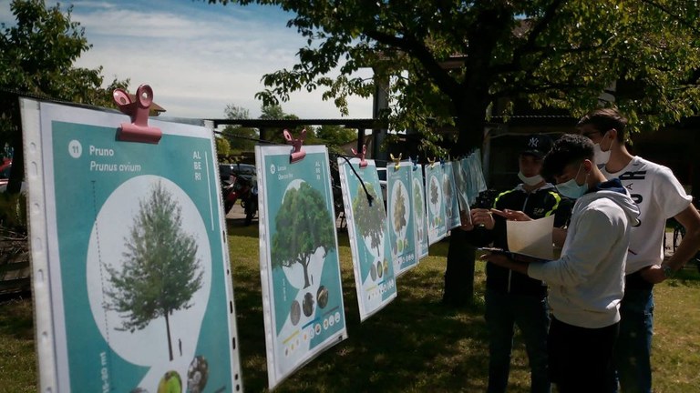 scelta condivisa.jpeg