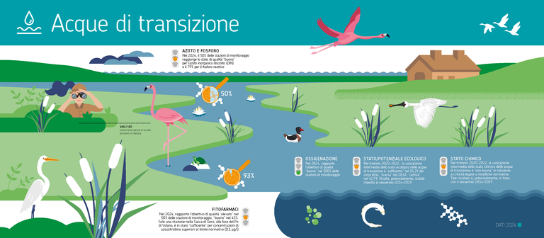 Acque di transizione - ARPAE DATI AMBIENTALI 2024.png