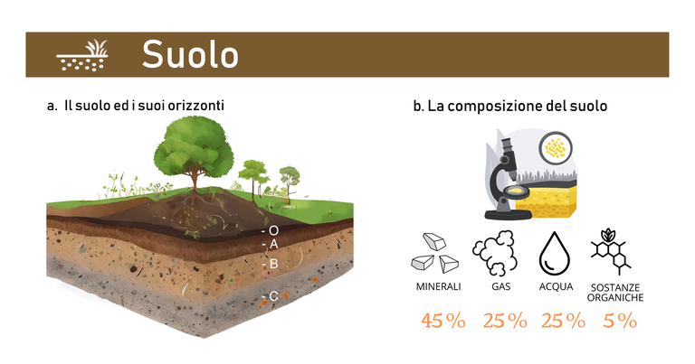Suolo - Orizzonti e composizione