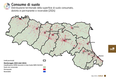 ARPAE DATI AMBIENTALI 2024 - Mappa consumo suolo 2024.png