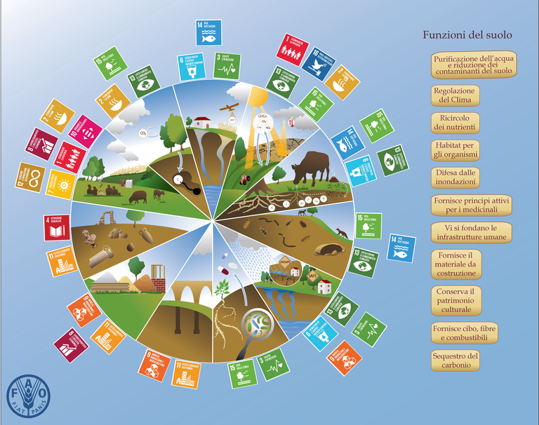 Funzioni suolo e SDGS - Tradotto FAO