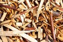 Biomasse vegetali