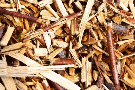 Biomasse vegetali