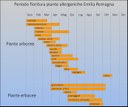 periodi di fioritura.jpg