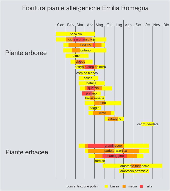 periodo fioritura.jpg